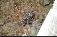 #breaking news: uncontrolled bike ditch death elderly