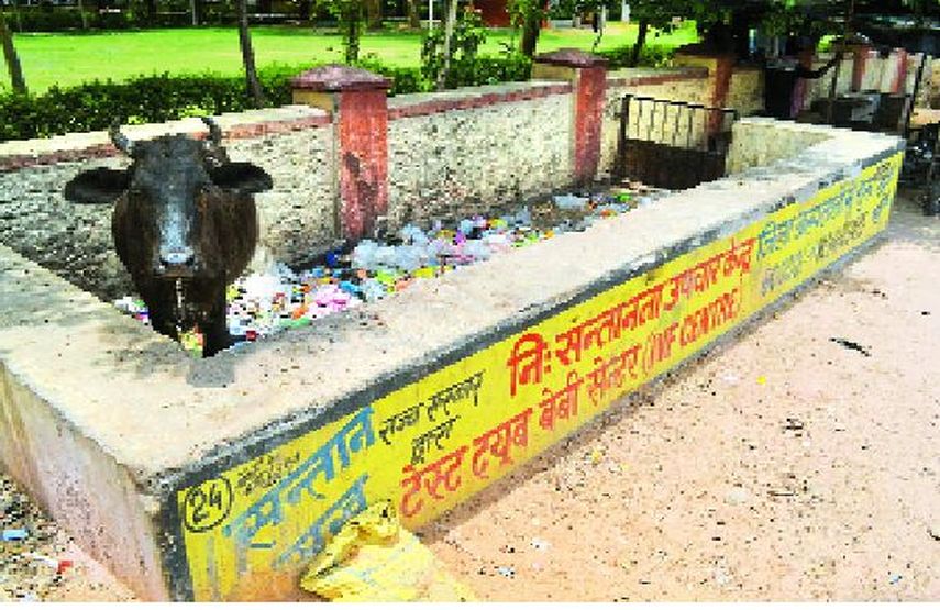 garbage point