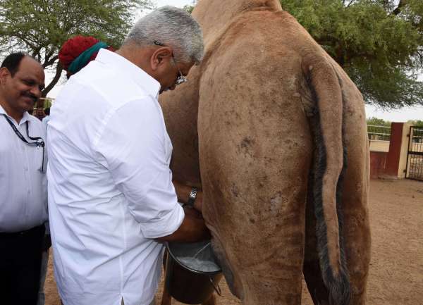 Minister Gajendra Singh Shekhawat in Bikaner
