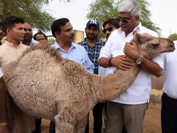 Minister Gajendra Singh Shekhawat in Bikaner