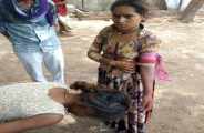 Violent animal attack girls in bhiwara