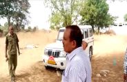save tree