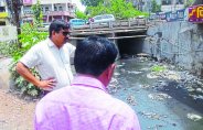 Monsoon Challenge arrangements in satna nagar nigam
