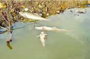 Water crisis in bhilwara