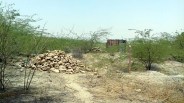 Jaisalmer patrika