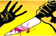 Wife's murder case