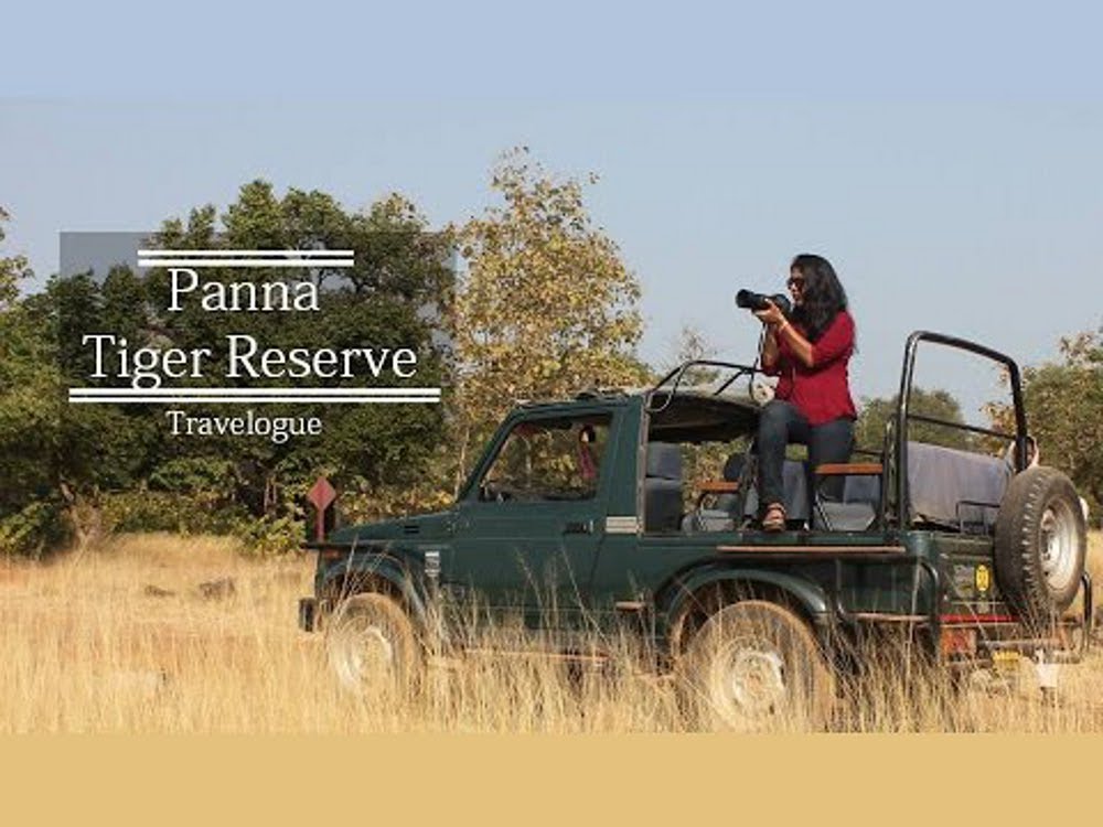 Panna Tiger Reserve: Green Hub news in hindi