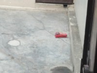 Bomb in businessman house defuse Lakhimpur Kheri UP news