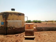 Jaisalmer Patrika