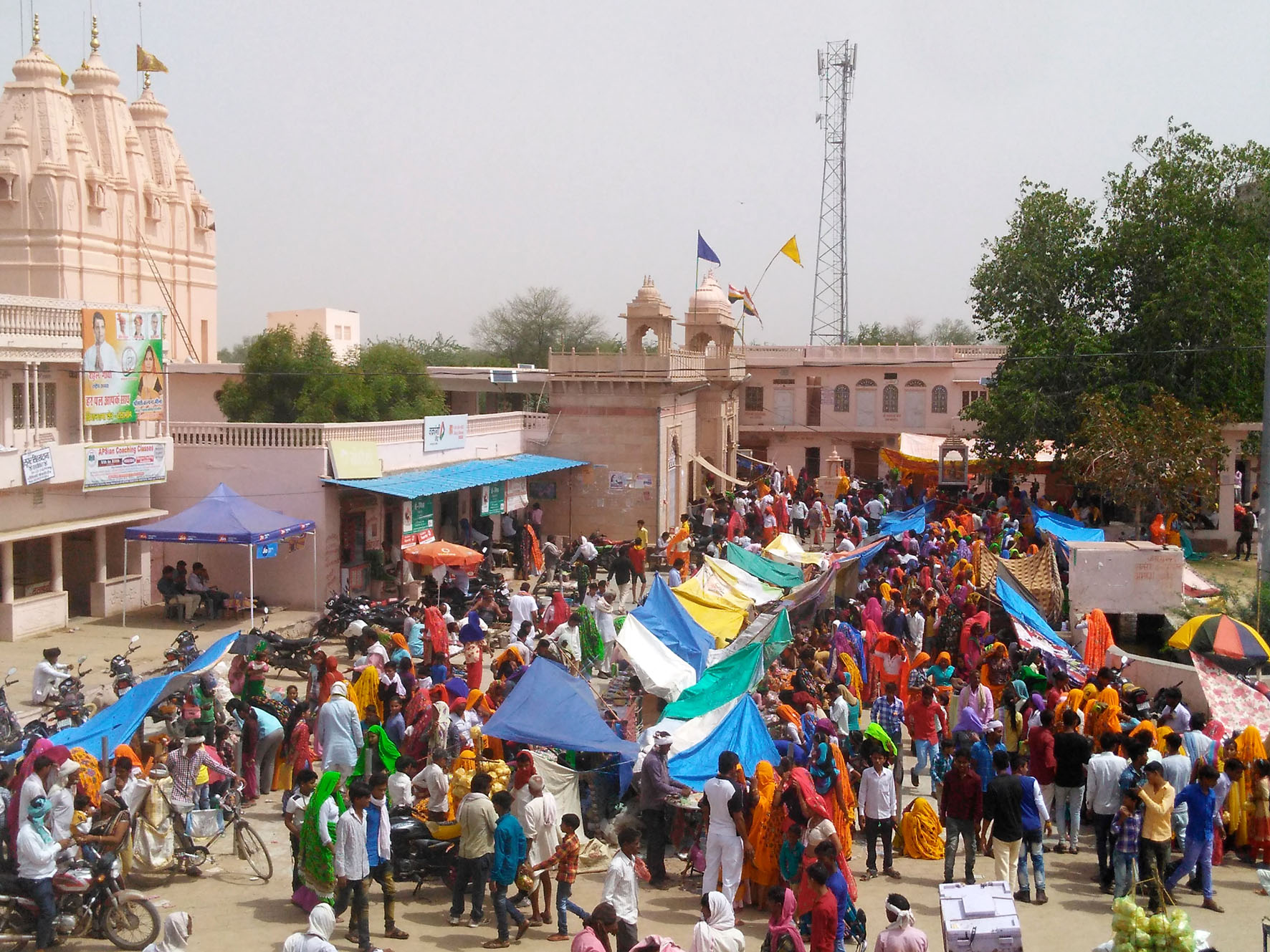 Rajasthan News - Latest Hindi News & Updates of Rajasthan