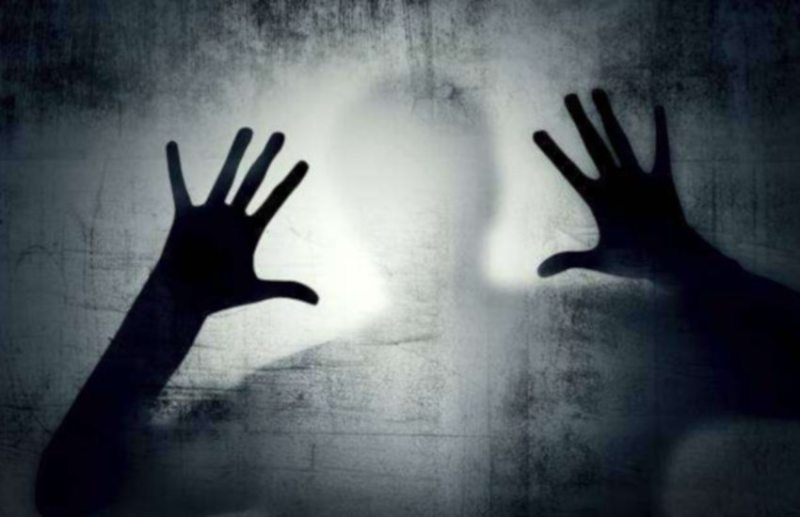 opinion,work and life,rajasthan patrika article,