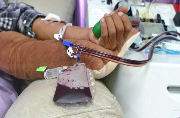 World Blood Donor Day