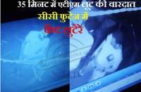 ATMs filled with 10 lakh rupees were taken in bhilwara