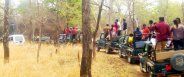 panna tiger reserve