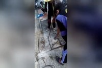 sewer
