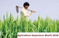 Agriculture Supervisor posts
