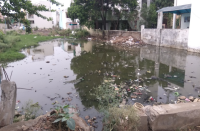 bhopal news, bhopal patrika, patrika news, patrika bhopal, bhopal mp, 