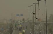 Delhi Pollution