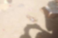 Male embryo found near alwar children hospital