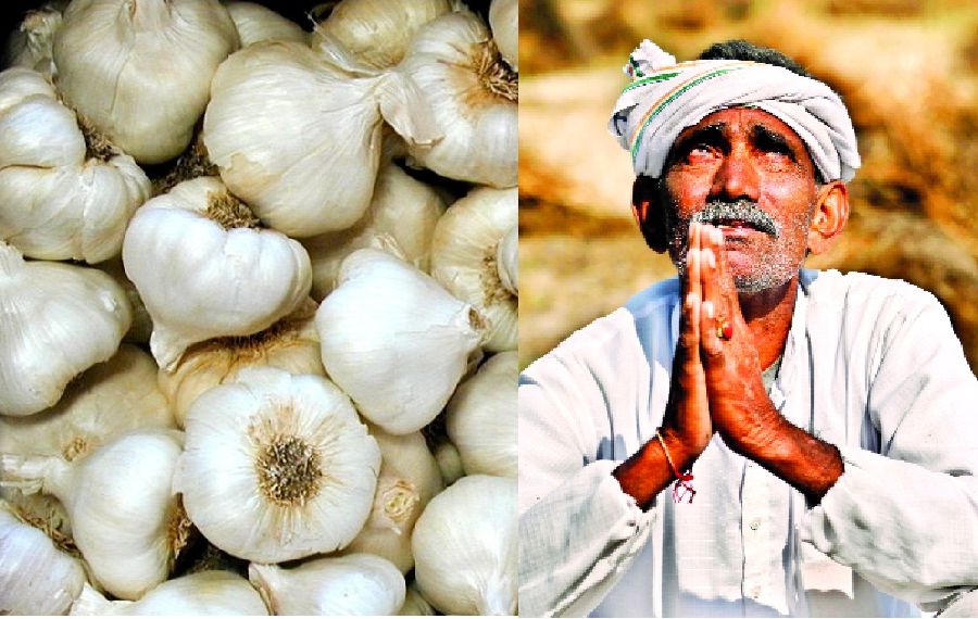 one more farmer suicide for garlic low price