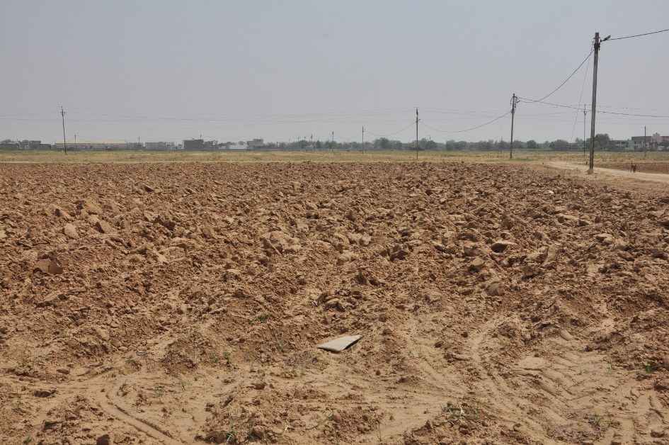 Morena News, Morena Hindi News, Mp News. Morena, Farmer, Drought affected, aim