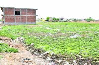 Satna Nagar Nigam Ward No. 32 news in hindi