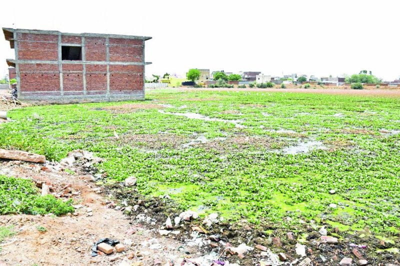 Satna Nagar Nigam Ward No. 32 news in hindi