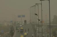 Delhi Dust Pollution