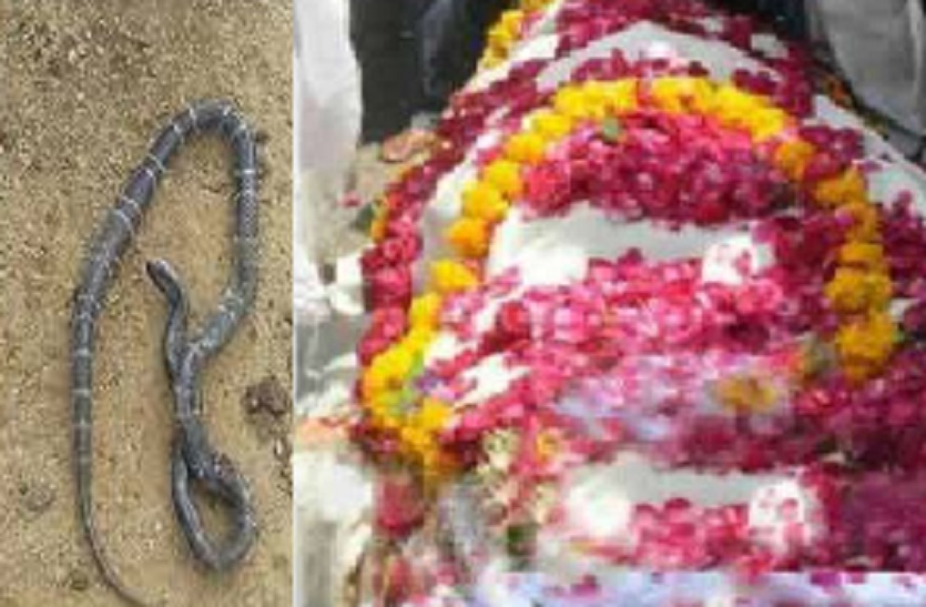 child and snake together funeral in up