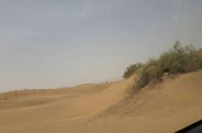 Jaisalmer Patrika