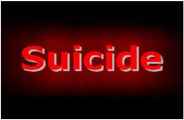 case of forcing a suicide in bhilwara