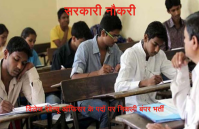 Village Revenue Officer