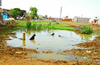 vidisha, vidisha news, vidisha patrika, patrika news, patrika bhopal, bhopal mp, barish, mousam, enviroment, badhal sadke,