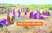 rajsamand hindi news