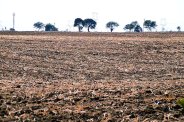 100 tribal farmers land Revenue record in government Enter