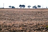 100 tribal farmers land Revenue record in government Enter