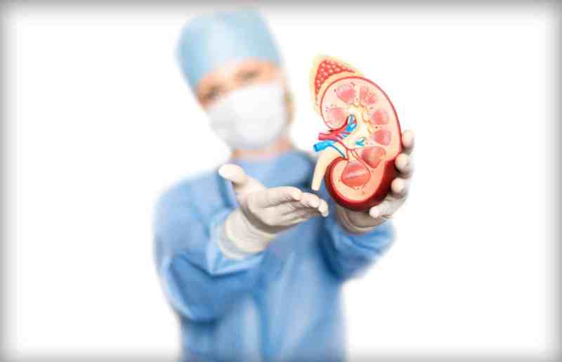 Kidney Donation