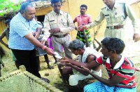 करतला के सकदुकला में बुजुर्ग तो कटघोरा के नवापारा में महिला को हाथी ने मार डाला