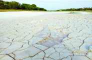 Factories were put open slurry in bhilwara