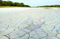 Factories were put open slurry in bhilwara