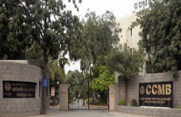 CSIR CCMB 