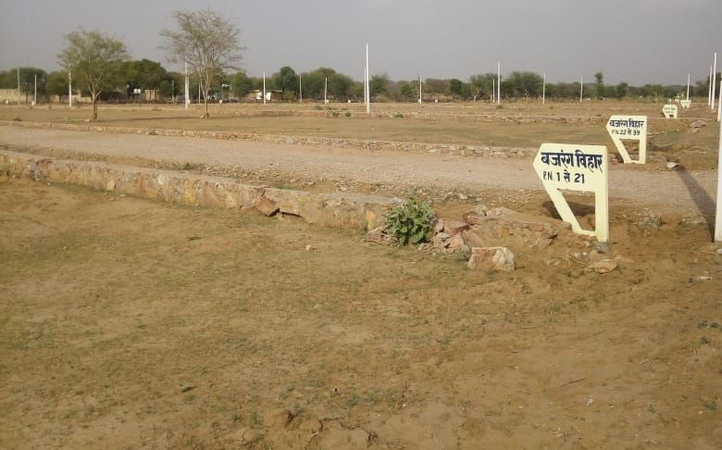 Illegal colony on agricultural land in chomu