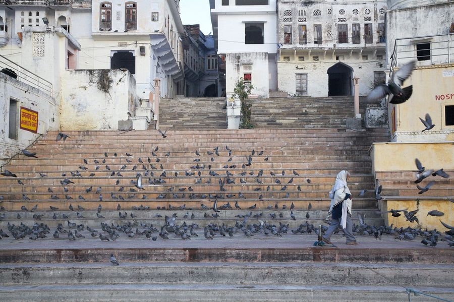 pushkar city