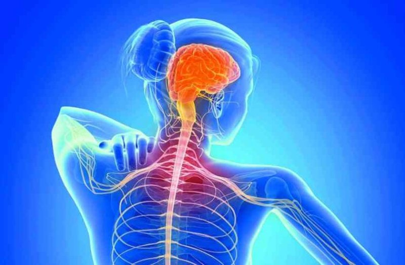 दिमाग में घब्बा बनने पर बढ़ जाता है अटैक का खतरा