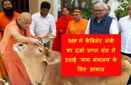 cow ministry