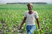 farmers