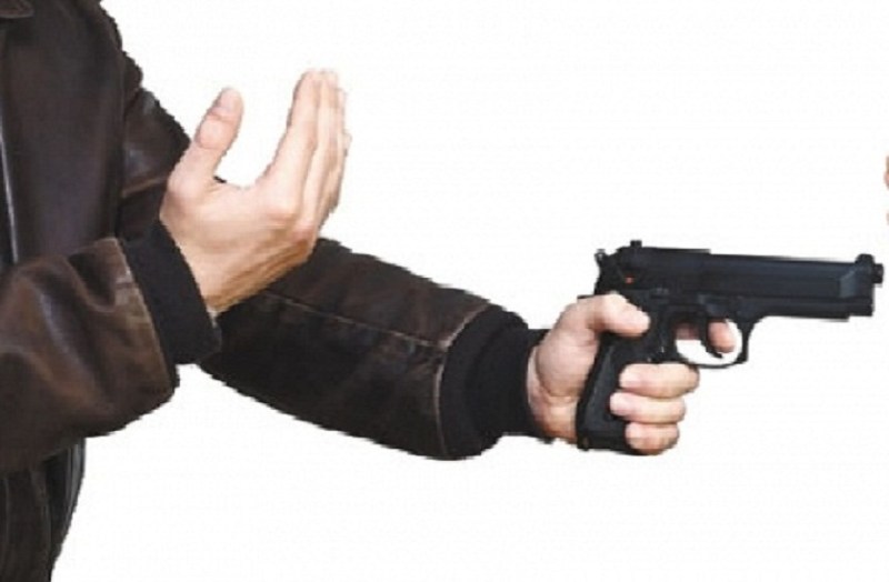 For protection against wild animals farmers demand License to keep gun