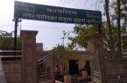 Merta City News