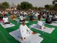 International Yoga Day