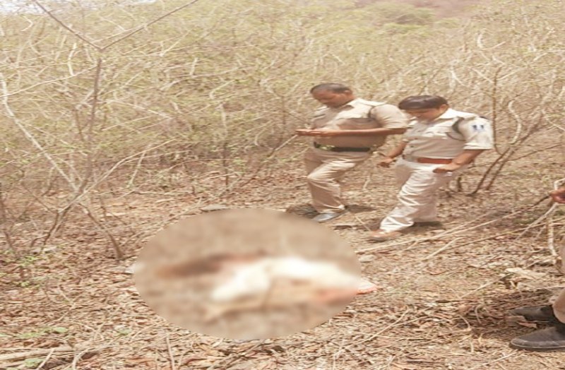 girk murder in gwalior